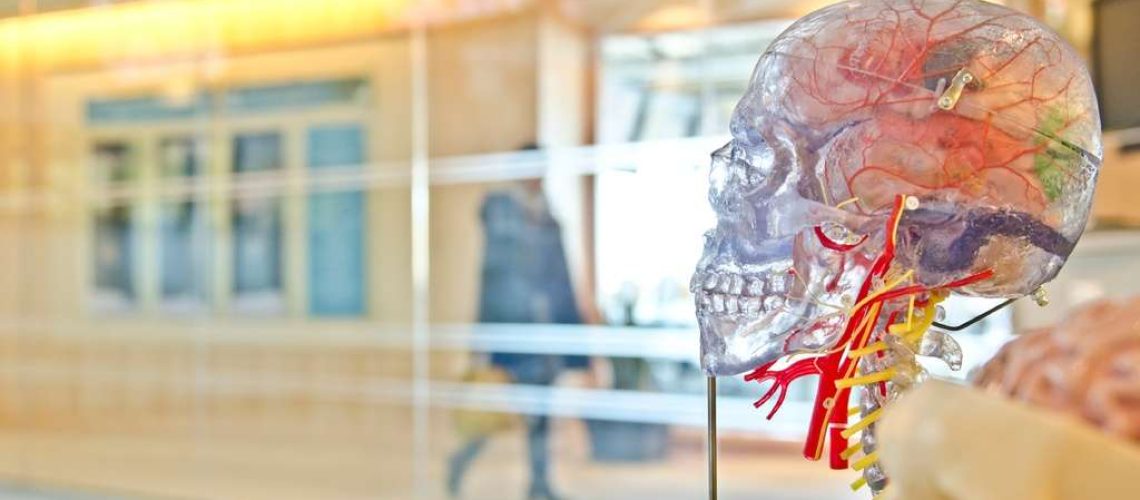 Alzheimer y la enfermedad de las encías
