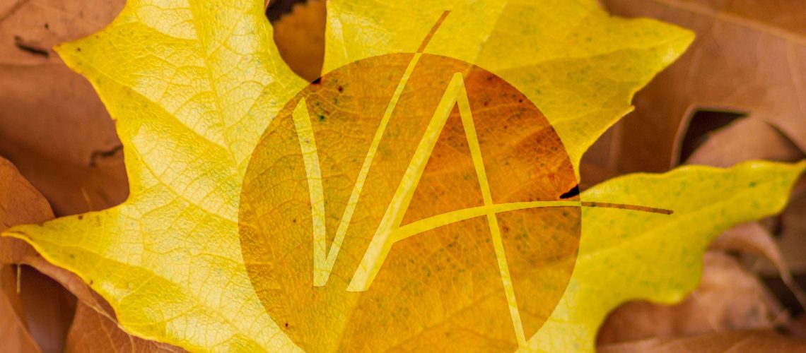 A yellow maple leaf on dry leaves - great for a natural wallpaper